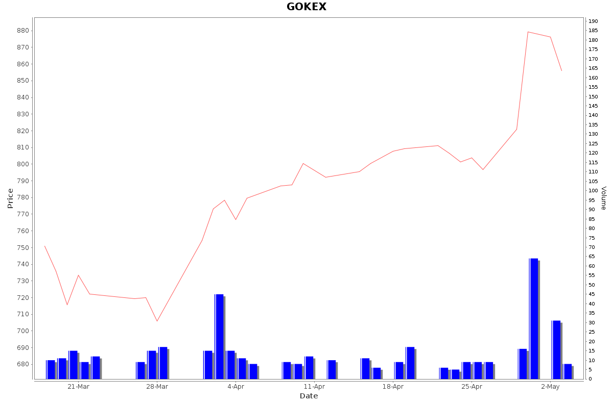 GOKEX Daily Price Chart NSE Today